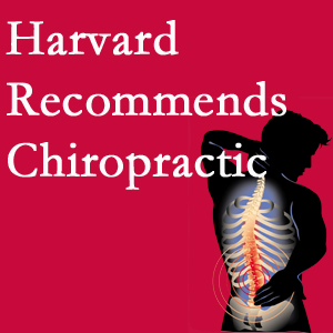 New Roads Chiropractic Center offers chiropractic care like Harvard recommends.