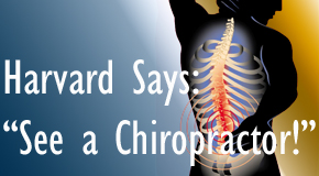 New Roads chiropractic for back pain relief urged by Harvard