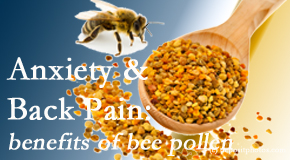 New Roads Chiropractic Center presents info on the benefits of bee pollen on cognitive function that may be impaired when dealing with back pain.