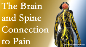 New Roads Chiropractic Center shares at the connection between the brain and spine in back pain patients to better help them find pain relief.