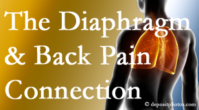 New Roads Chiropractic Center knows the relationship of the diaphragm to the body and spine and back pain. 