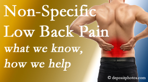 New Roads Chiropractic Center describes the specific characteristics and treatment of non-specific low back pain. 