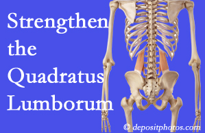 New Roads chiropractic care proposes exercise recommendations to strengthen spine muscles like the quadratus lumborum as the back heals and recovers.