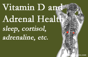 New Roads Chiropractic Center shares new studies about the effect of vitamin D on adrenal health and function.